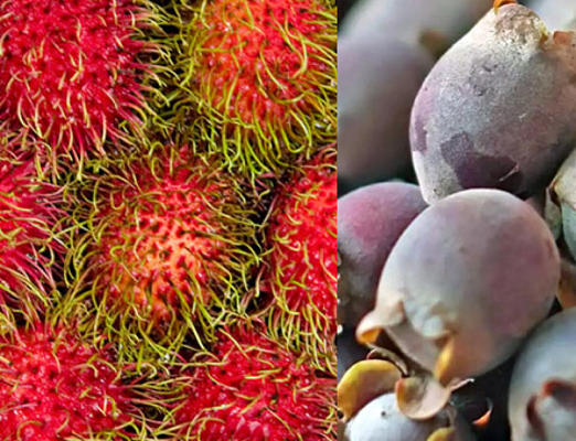 这10种怪异水果你认识吗?我只吃过第1个,神秘果你听过说没?