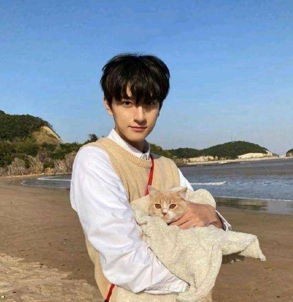 没等来林一饰演的徐又树,却等来了"他"的生日_猫咪_男孩_记忆