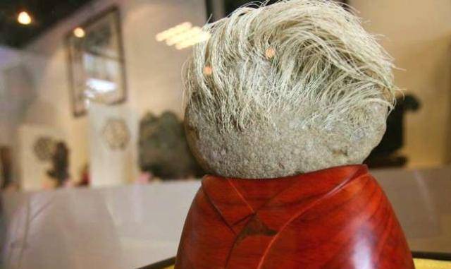 长有白发的石头,漂泊近20年后,落户中国科学院海洋生物标本馆_白渔_田