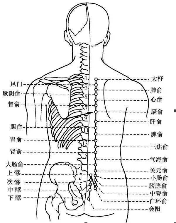 足太阳膀胱经线路图图片