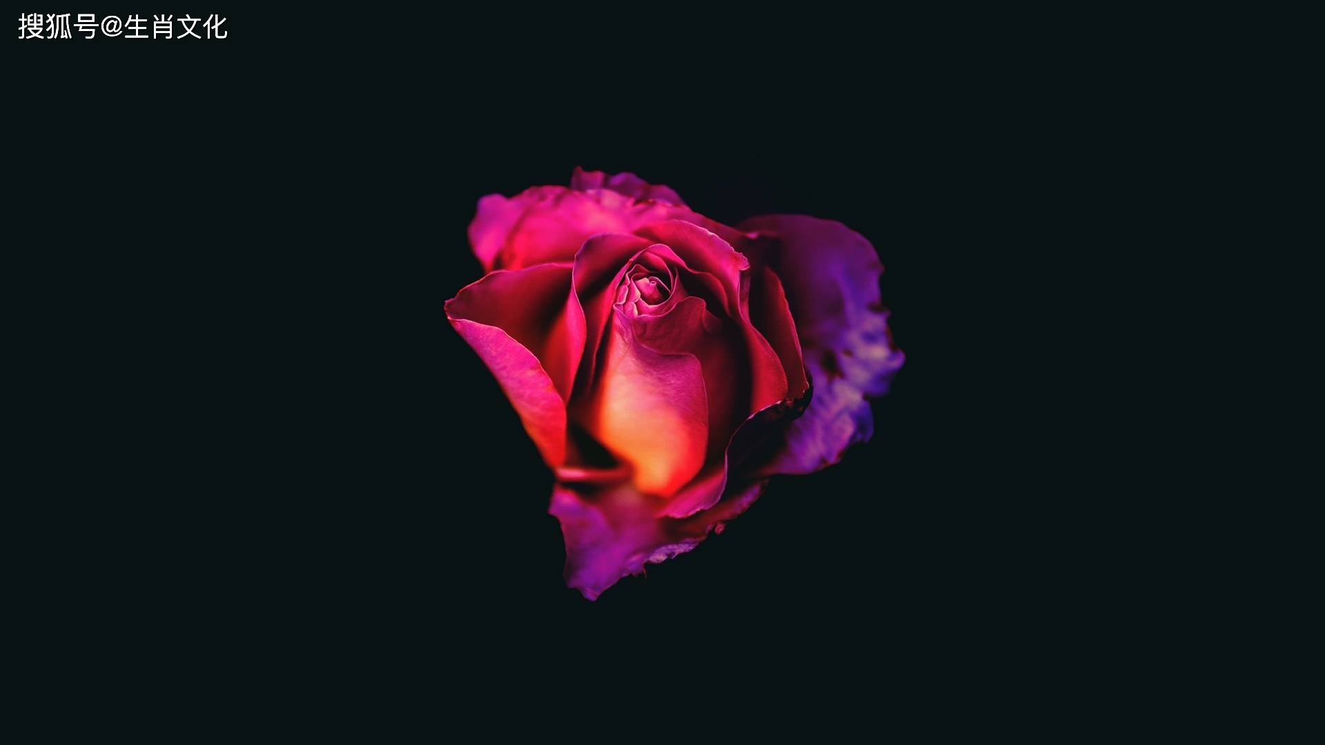 哪些生肖2024年最好命,财神独宠挣钱最多,到哪都能