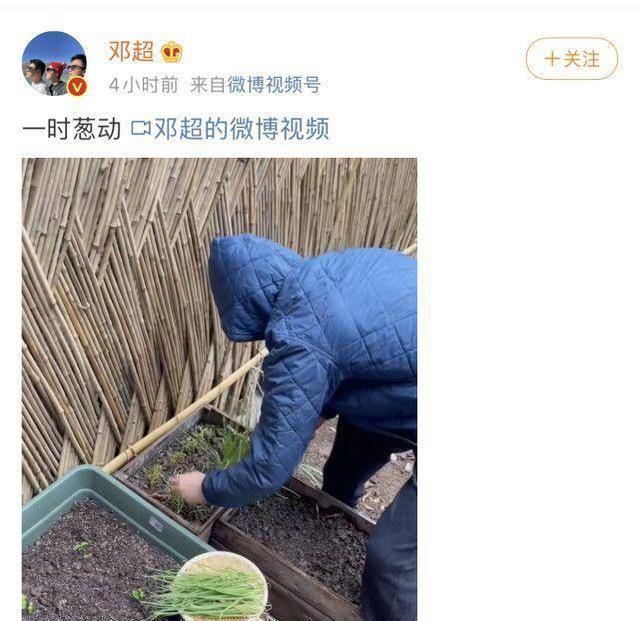 孙俪邓超晒生活照,不愧是娱乐圈模范夫妻,两人恩爱有加_陈思诚_佟丽娅