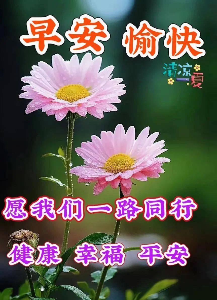 2023年7月24日周一最新早安问候祝福图片带字温馨 周一早上好问候祝福