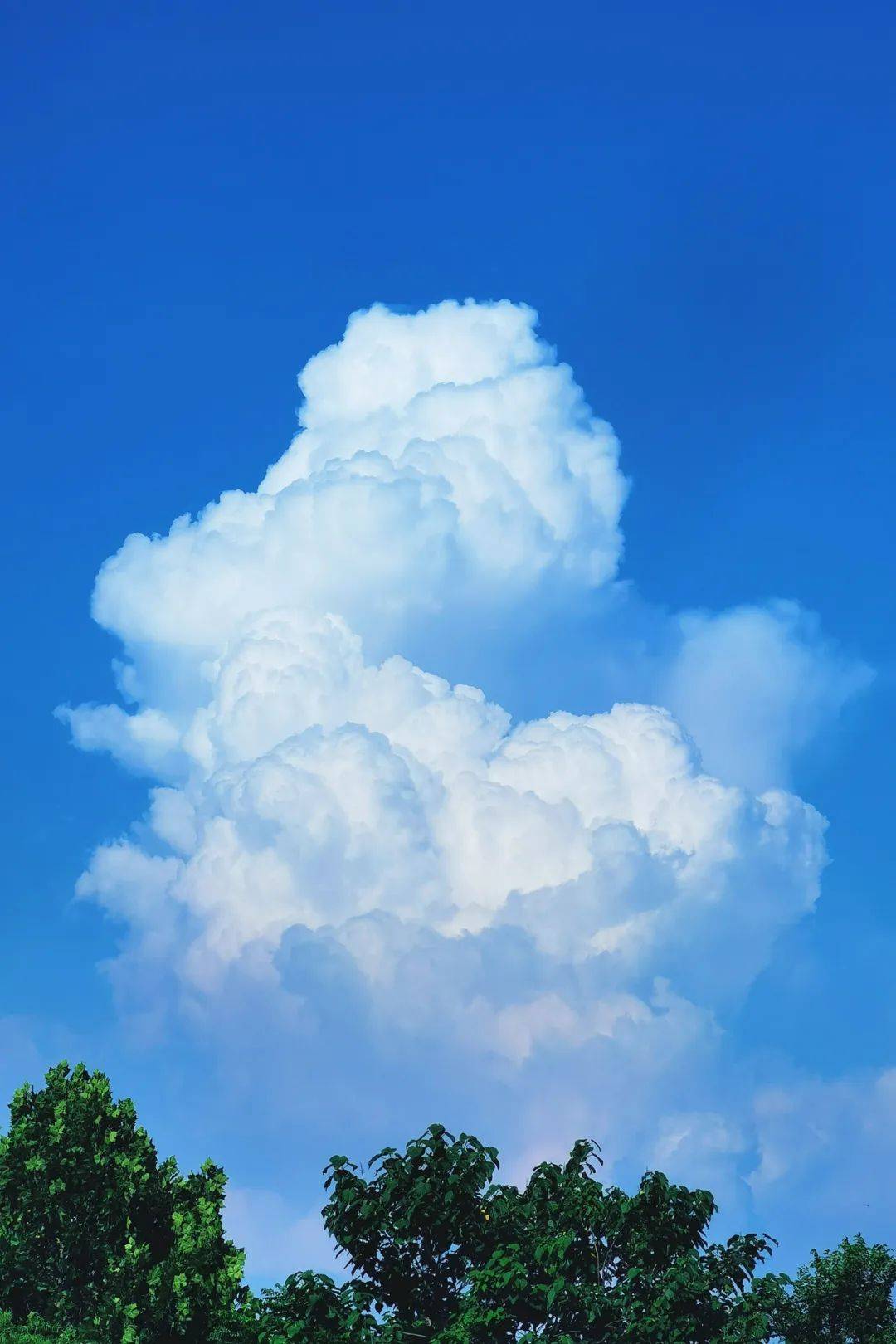 这才是济宁的夏天!_天空_白云_云朵