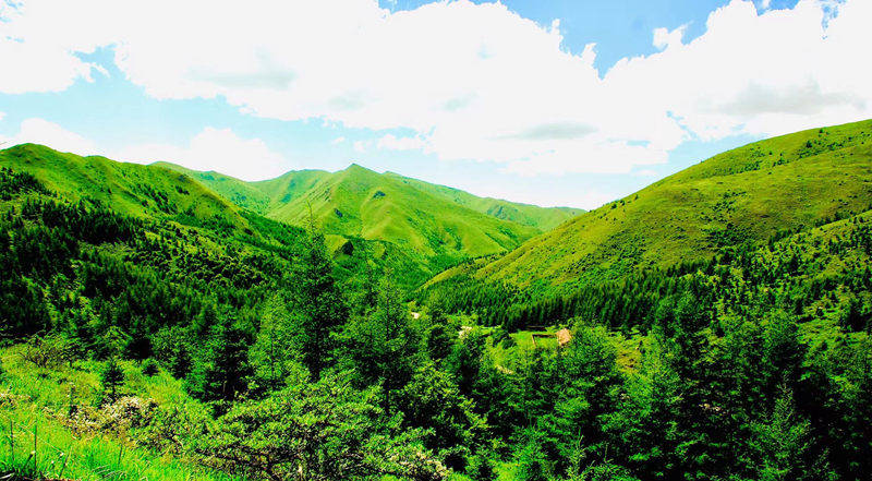 宁夏海原南华山风景图片