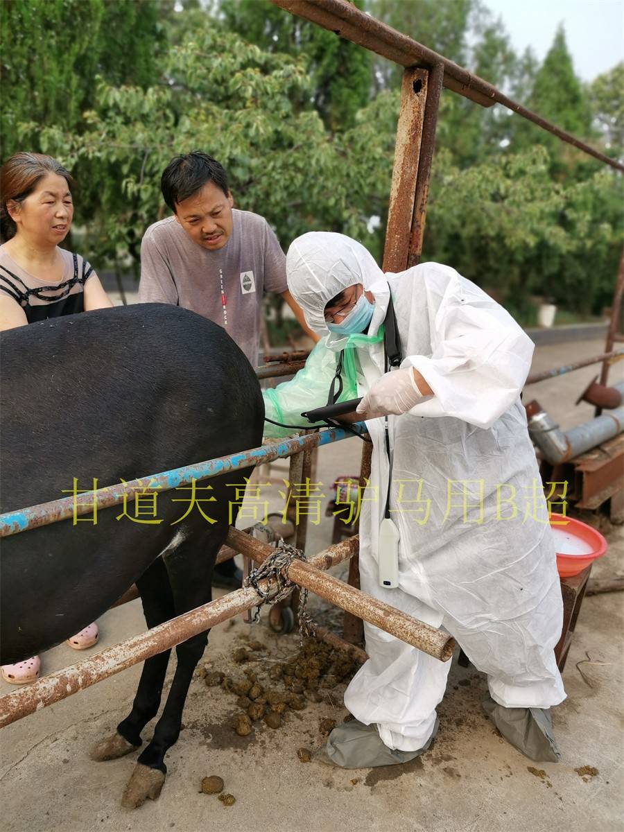 学到了（用验孕棒测假怀孕的方法）用验孕棒测怀孕准确吗 第3张