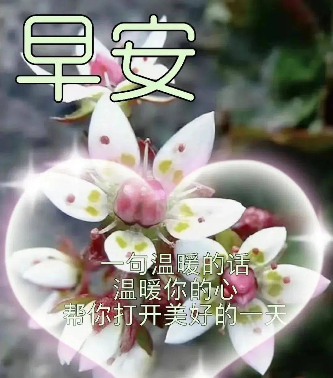 9张最新创意好看的早上好祝福图片带字温馨 2023唯美夏天早安问候祝福