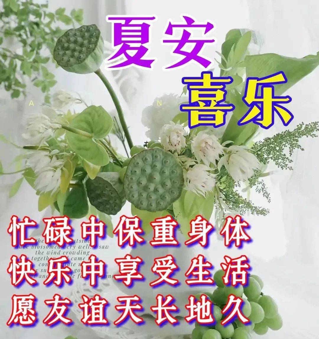 9张最新创意好看的早上好祝福图片带字温馨 2023唯美夏天早安问候祝福