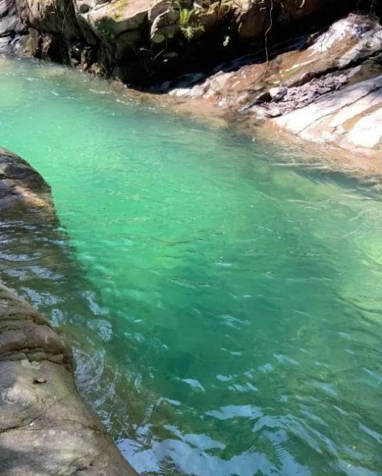 探寻深山溪流中的美味珍宝——木叶鱼,四川人喜爱的细鳞冷水鱼!