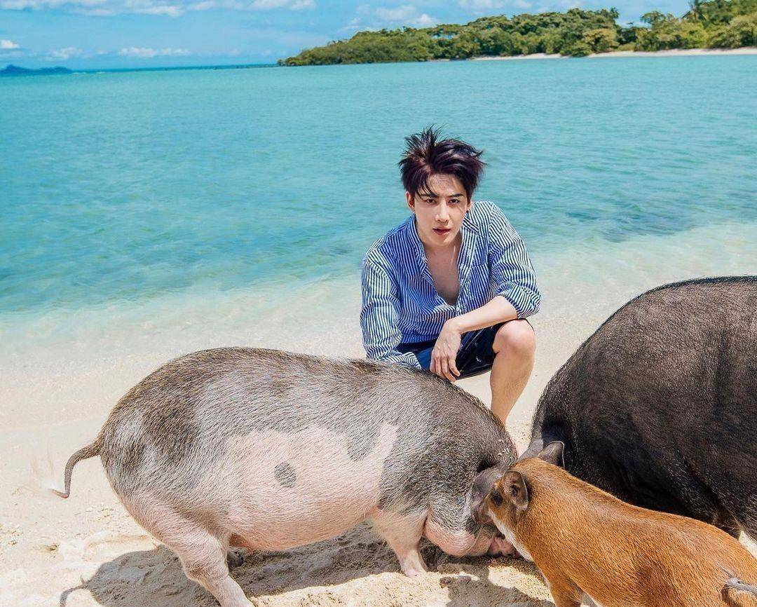 泰星mike:千方百计想见到儿子,但是sarah一直不回答_maxwell_手表