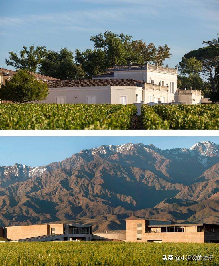 法国波尔多酒庄-马拉帝酒庄(chateau malartic-lagraviere)_家族_葡萄