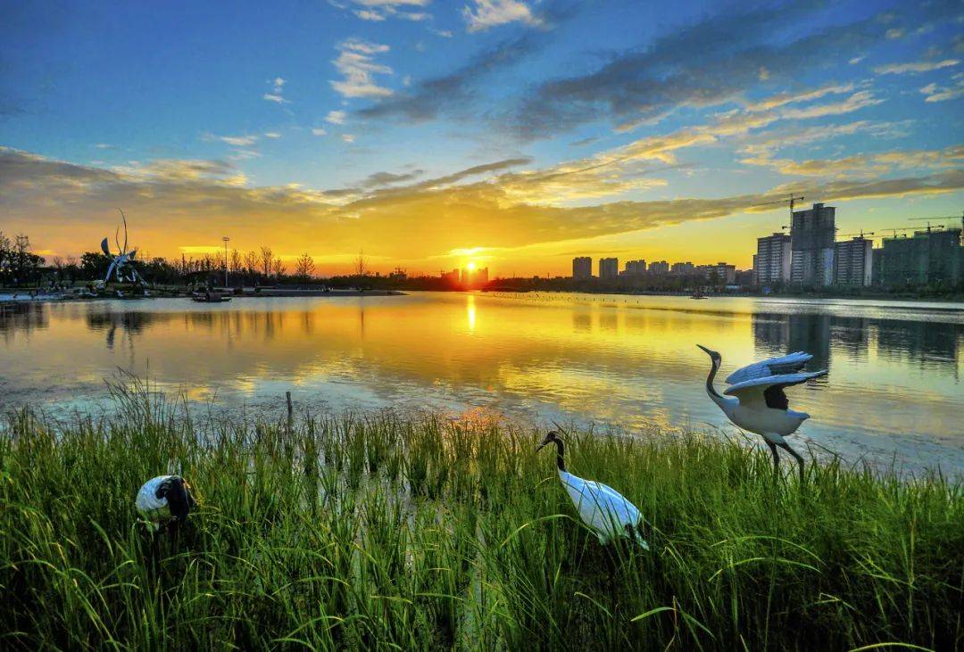 射阳县合德镇—— 黄海之滨的一颗璀璨明珠_发展_盐城市_生活