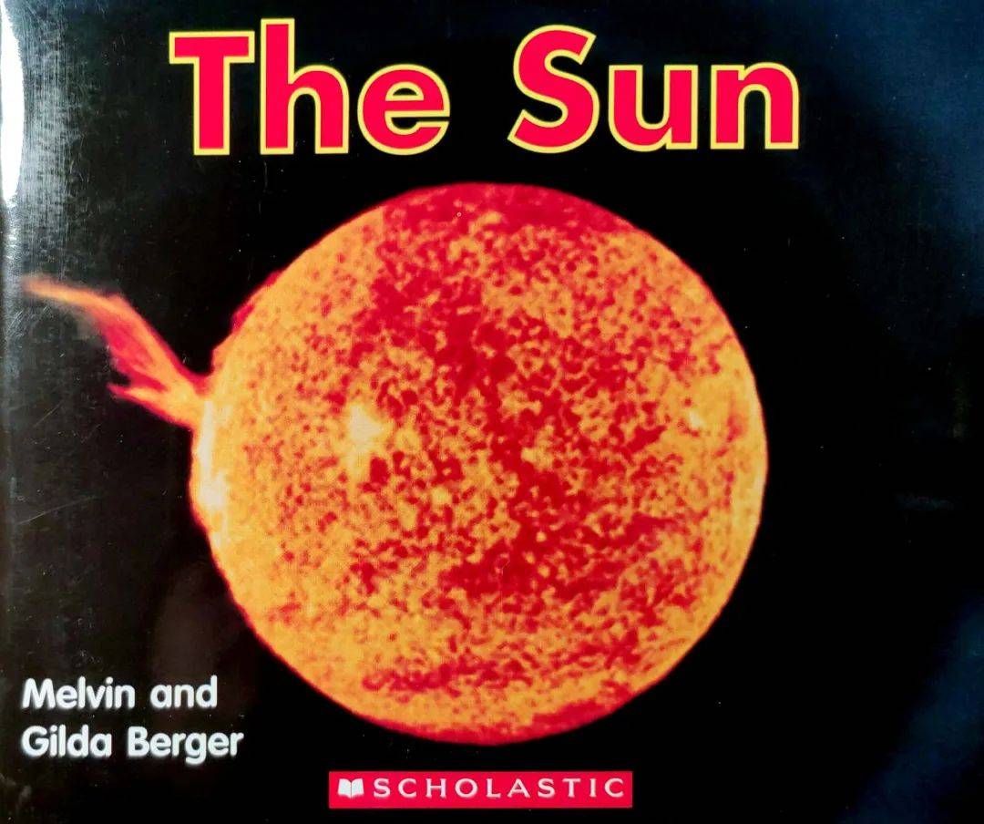 伴读 | 廖彩杏书单《the sun》