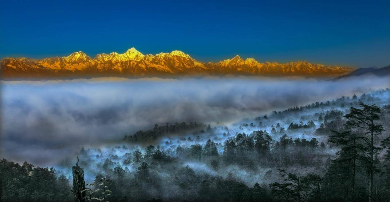 安逸走四川61熊猫看雅安,三条经典清凉游线路迎大运_景区_旅游_名山