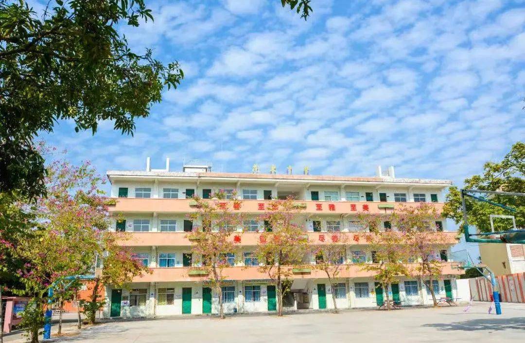 花都多所学校将大变样_来源_体育馆_小学