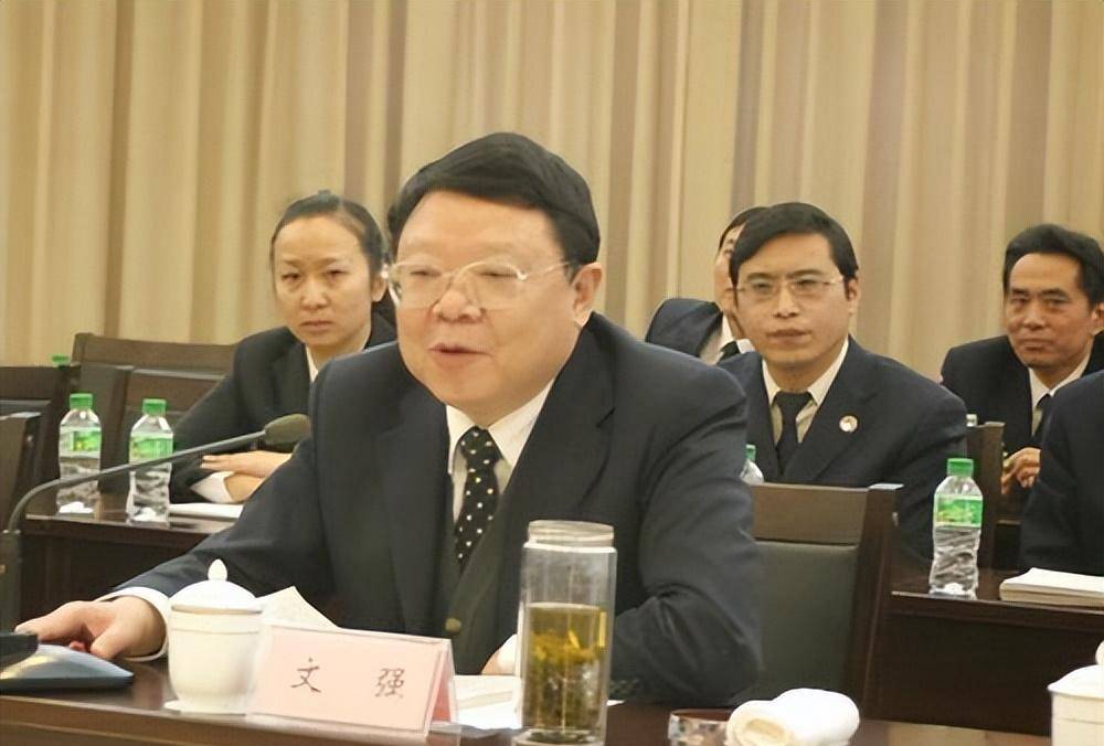 四川"司法局局长"文强的往事_张君_周晓亚_时间