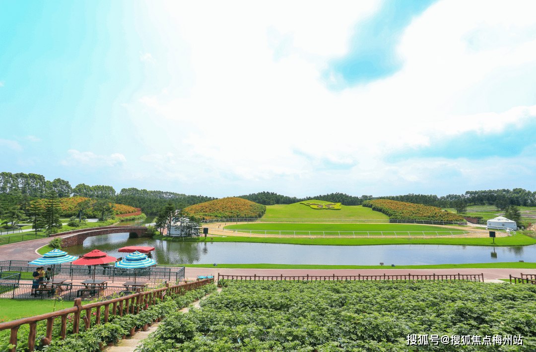 处(欢迎您)中山【雅居乐迪茵湖小镇】首页网_售楼中心_湾区_南沙_服务