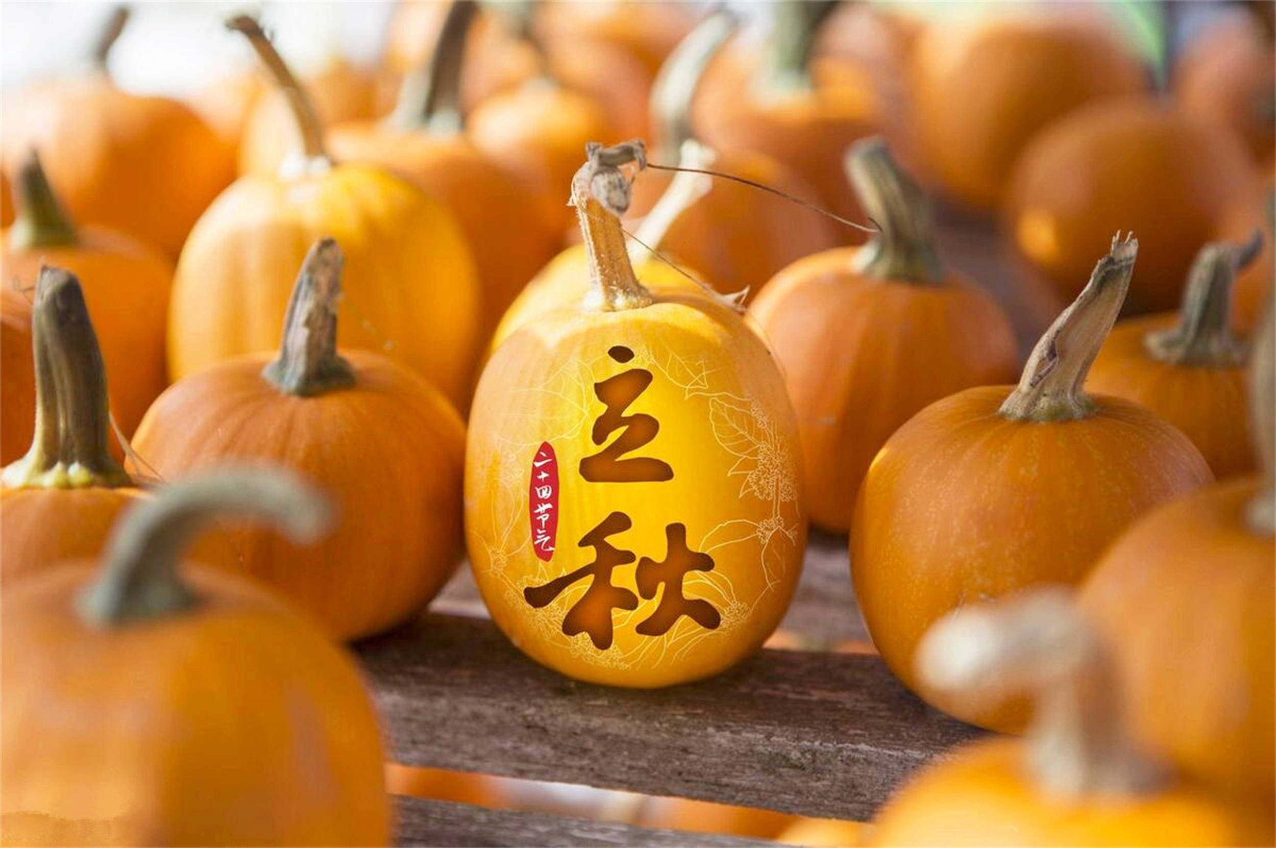 明日立秋,别忘了吃6样,做好2件事,纳祥祈福,老传统别丢了_茄子_五花肉