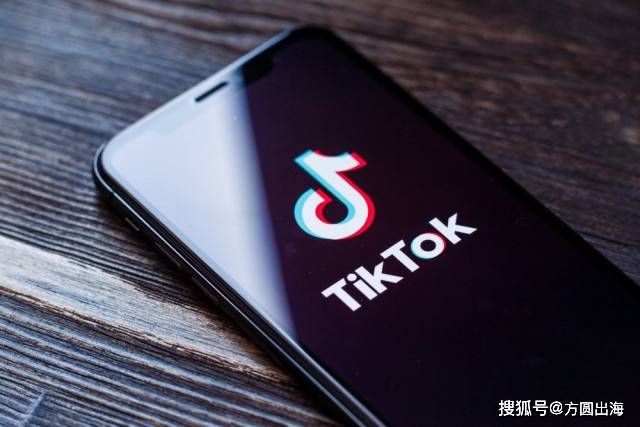 TikTok推出PrivacyGo，品牌可与平台共享部分用户数据