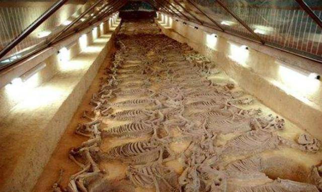 千年东周古墓,发掘出22名"少女",棺旁此物使人难以接受_孔子_陶俑