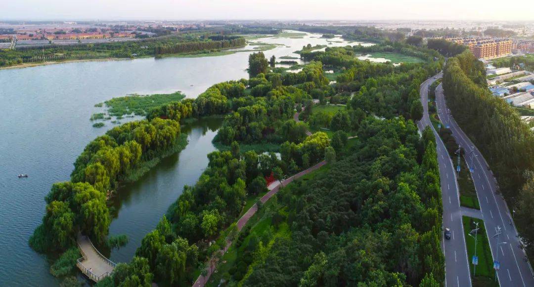 寿光园林建设集团:湿地好生态引来珍稀鸟类栖息_城市_公园_植物群落