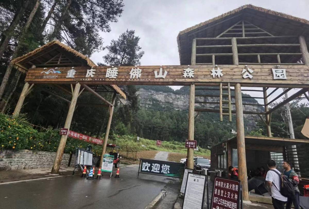 超治愈的夏日美好瞬间#睡佛山森林公园露营|寻找诗和远方_蒙迪欧