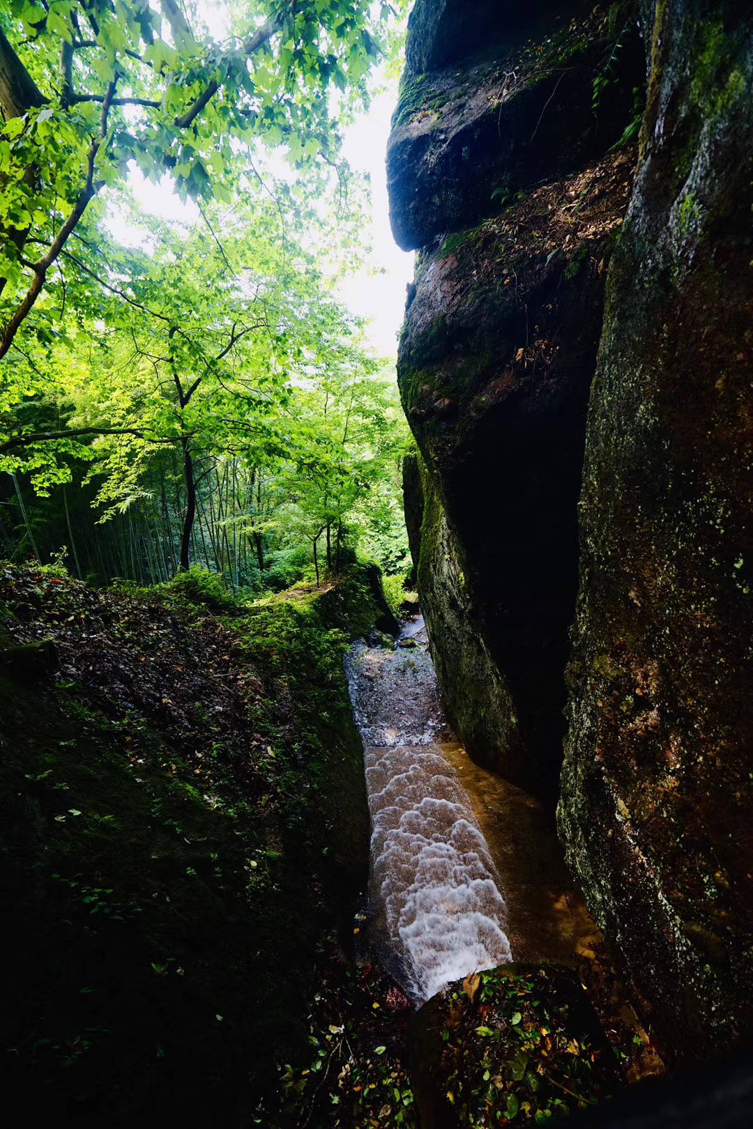 南孔圣地"衢州,点赞"神州丹霞第一峰"江郎山_行走_一线天_全国