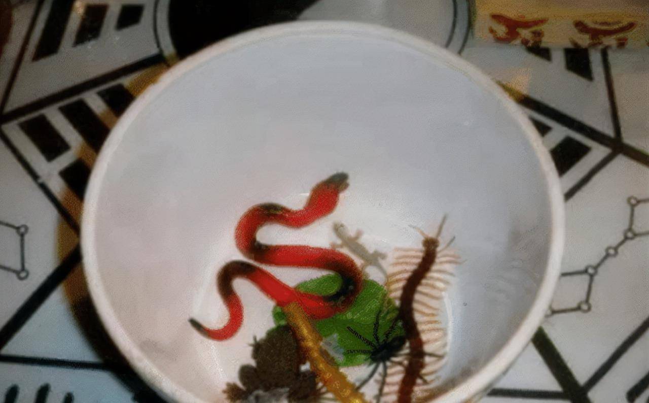 为何历朝律法都严惩养蛊之人?_影响_人们_巫术