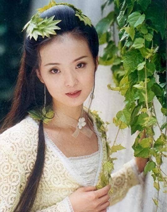 被继子掌掴,亲儿子骂猪头,今复出替夫还债,王艳豪门路有多坎坷_婆婆