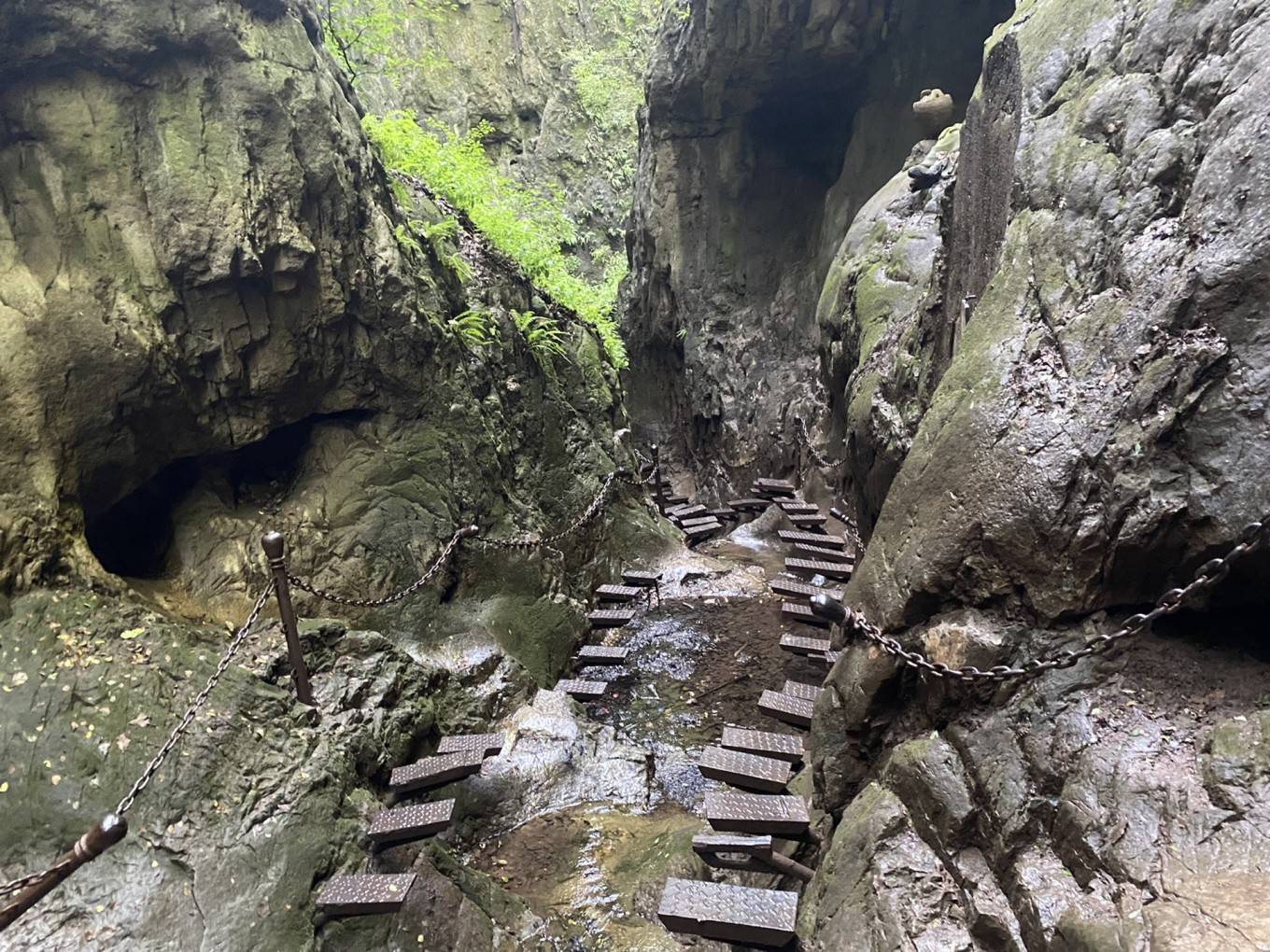 赢在中国杨定国 栖贤谷-介公岭_景区_一线天_谷早