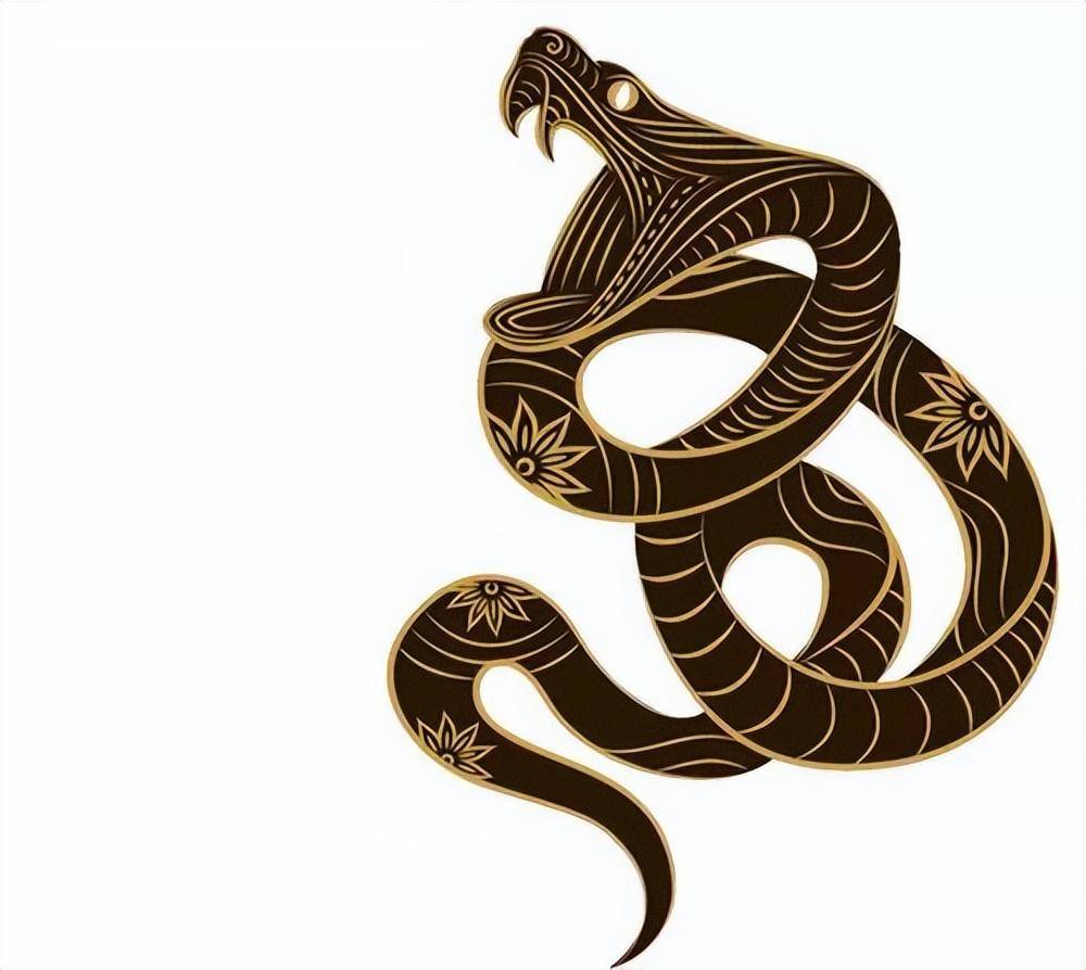 被誉为世界最凶猛的三种动物:黑曼巴蛇能有多可怕?