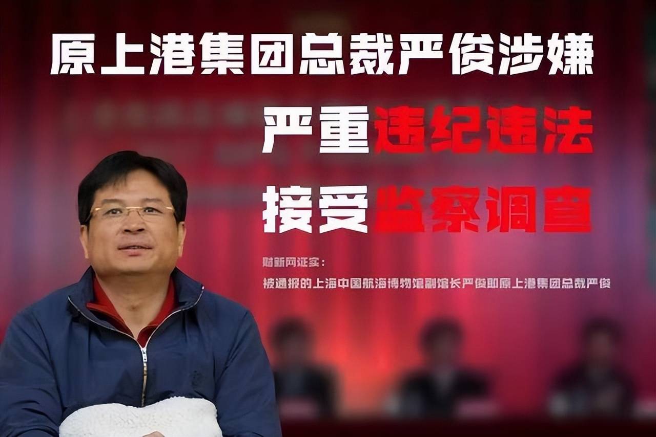 陈戌源立功,得力助手被抓,记者:上港一直做裁判工作_严俊_奥斯卡_上海