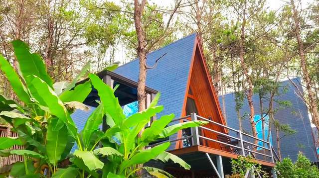 建在武汉黄陂木兰湖边的民宿,山清水秀环境幽深,独立如世外桃源_大道