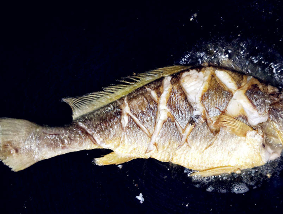 军鱼:常被误认为草鱼,每斤价格却是草鱼的20倍,堪称淡水珍品_味道