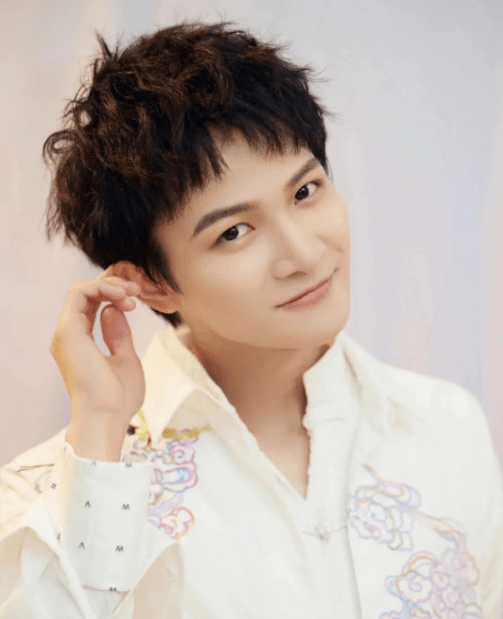 曝好声音前三甲现状,梁博酒吧驻唱张碧晨活跃,最有实力的没名次_中国