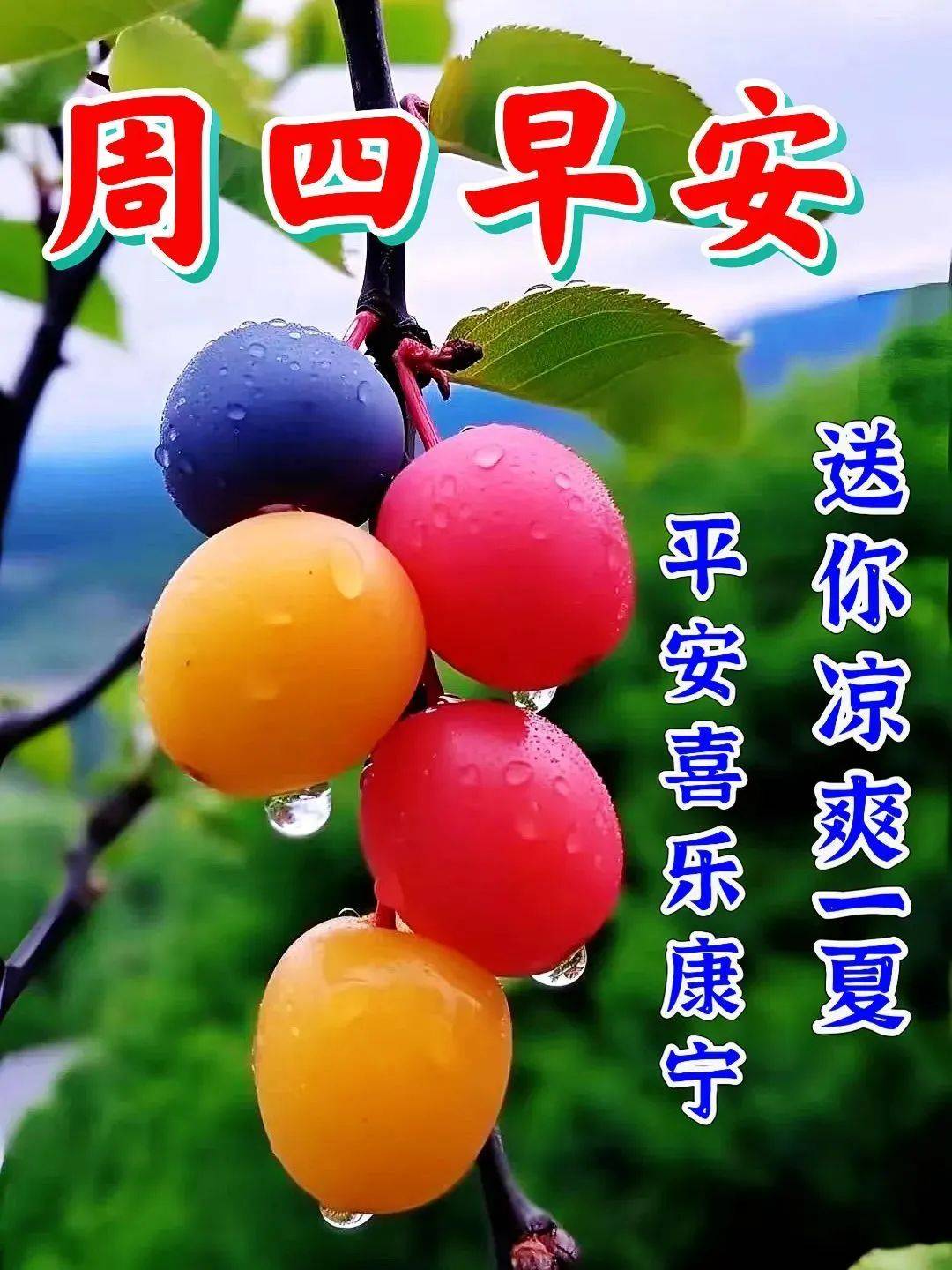 原创            8月24日周四早上好，唯美祝福语图片带字