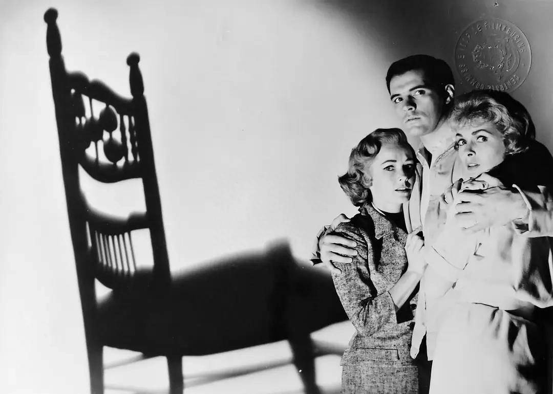 心理迷宫与恐惧之雨,揭示人性黑暗,震撼情感与思考_希区柯克_观众