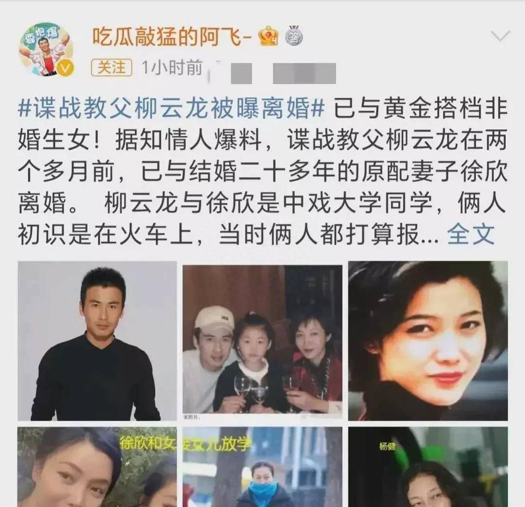 柳云龙结过几次婚图片