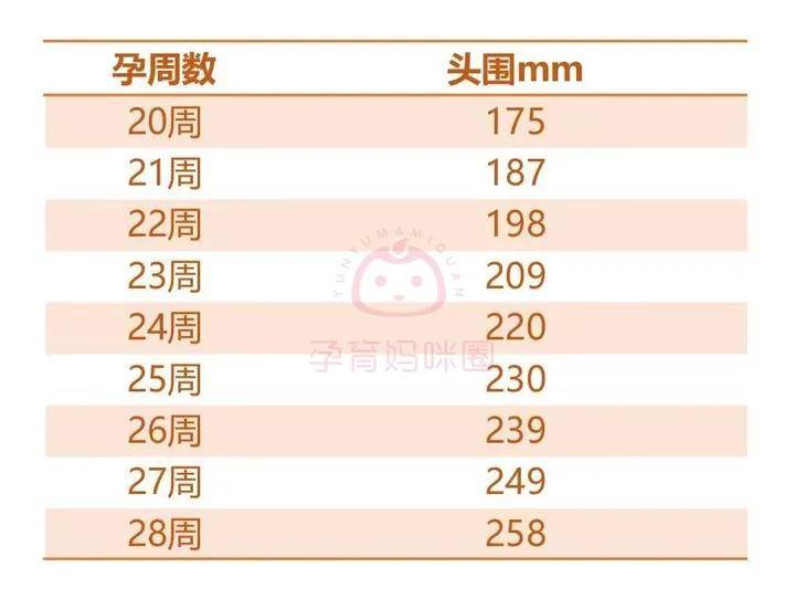 孕几周做比较好?_检查_宝宝_胎儿