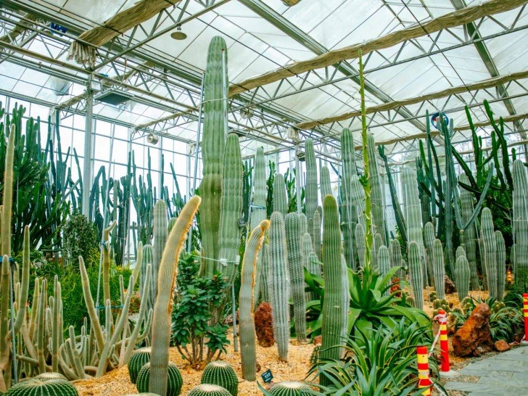 位于新舟镇槐安村的贵州农博园占地2000余亩,是西南地区最大的综合性