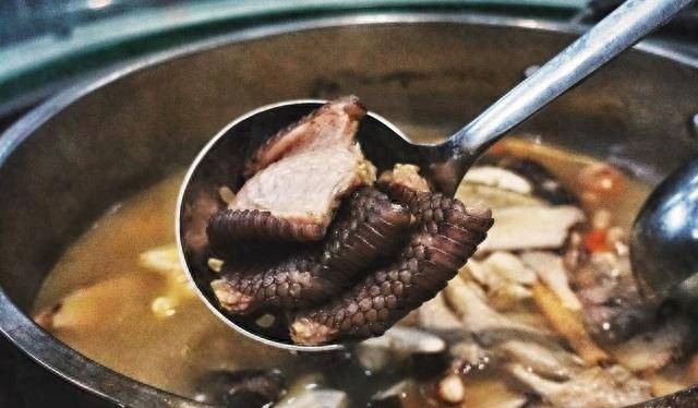 我們美食蛇肉的10種經典烹飪方式_調料_料酒_生薑