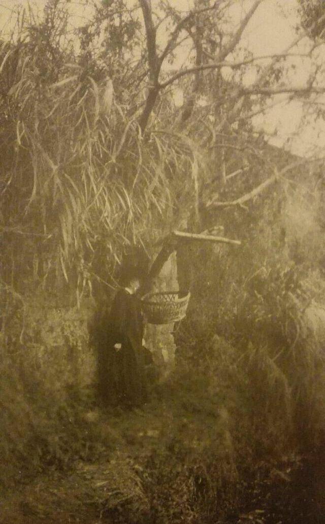 晚清的"弃婴塔"有多残忍?