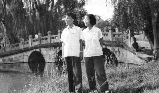 彭金章突然邀请樊锦诗去家中做客,对爱情迷迷糊糊的樊锦诗,此时才明白