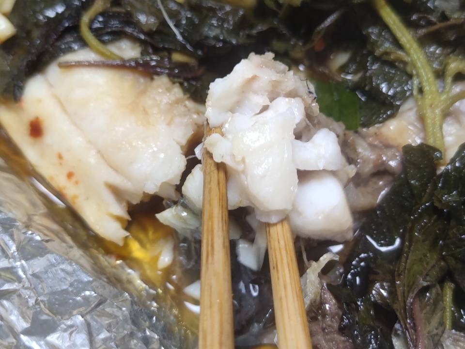 新手欧包说做就做，一次成功！长帝S1蒸汽风炉多功能烤箱实测分享！