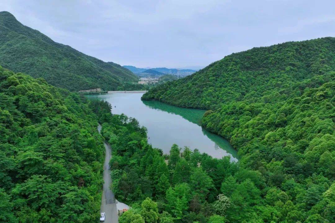 安吉靈峰山悠隱南山-強勢來襲!