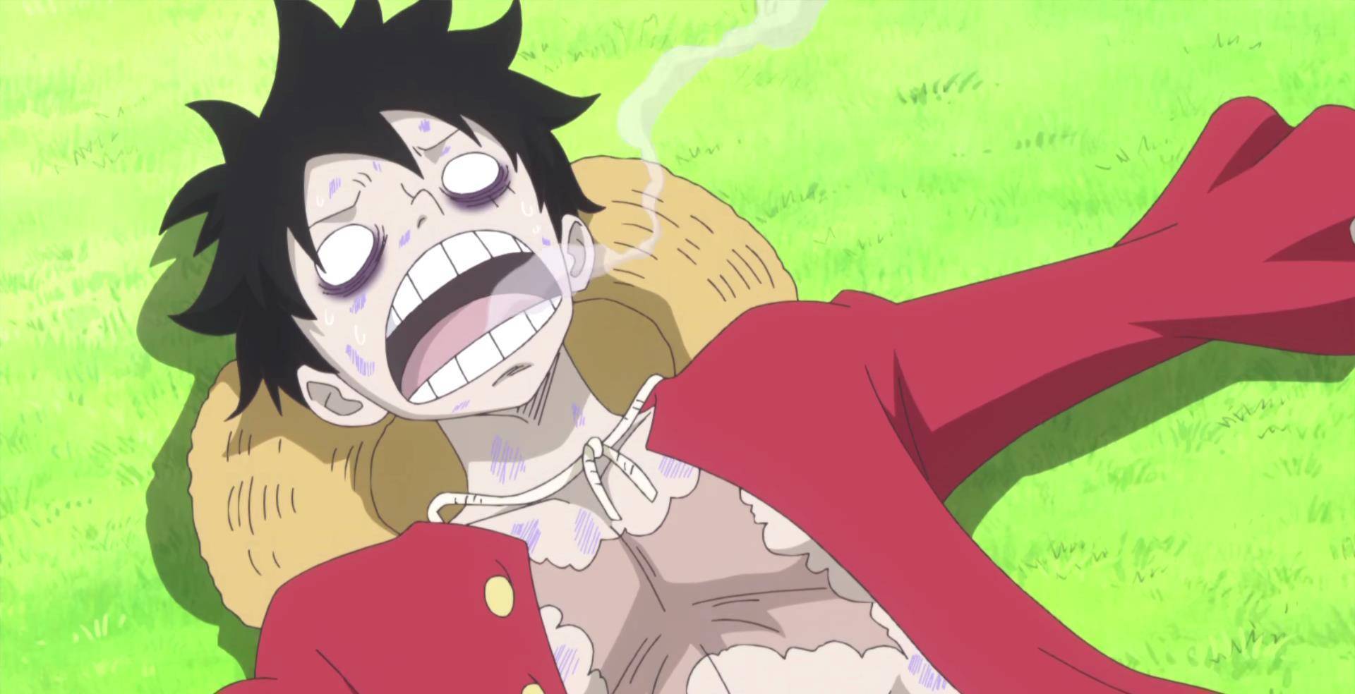 要知道如果不是蕾玖及时出手,路飞一定会被鱼皮上的剧毒毒死.