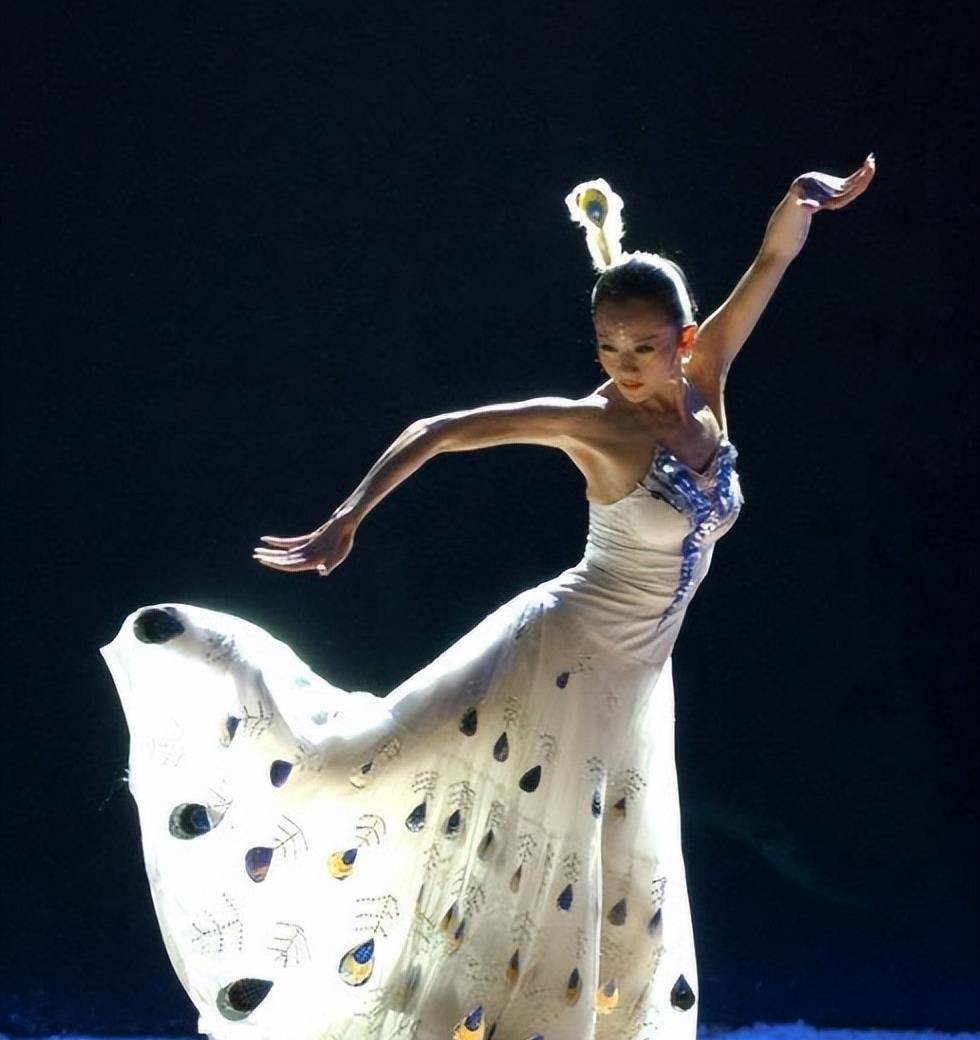 曝64岁杨丽萍又惹争议,衣服是画的纹理清晰可见,评论区现高人_艺术