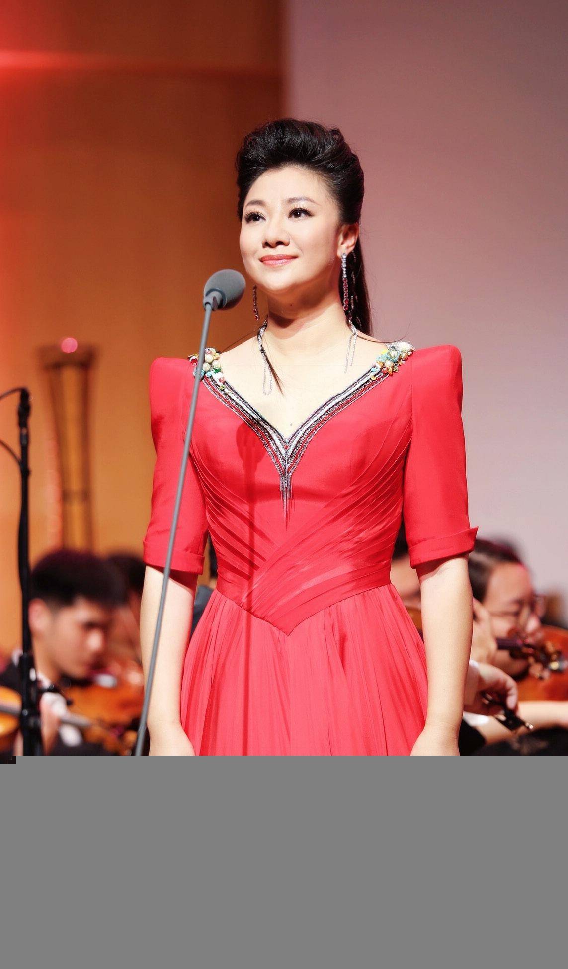 歌唱家王丽达简介图片