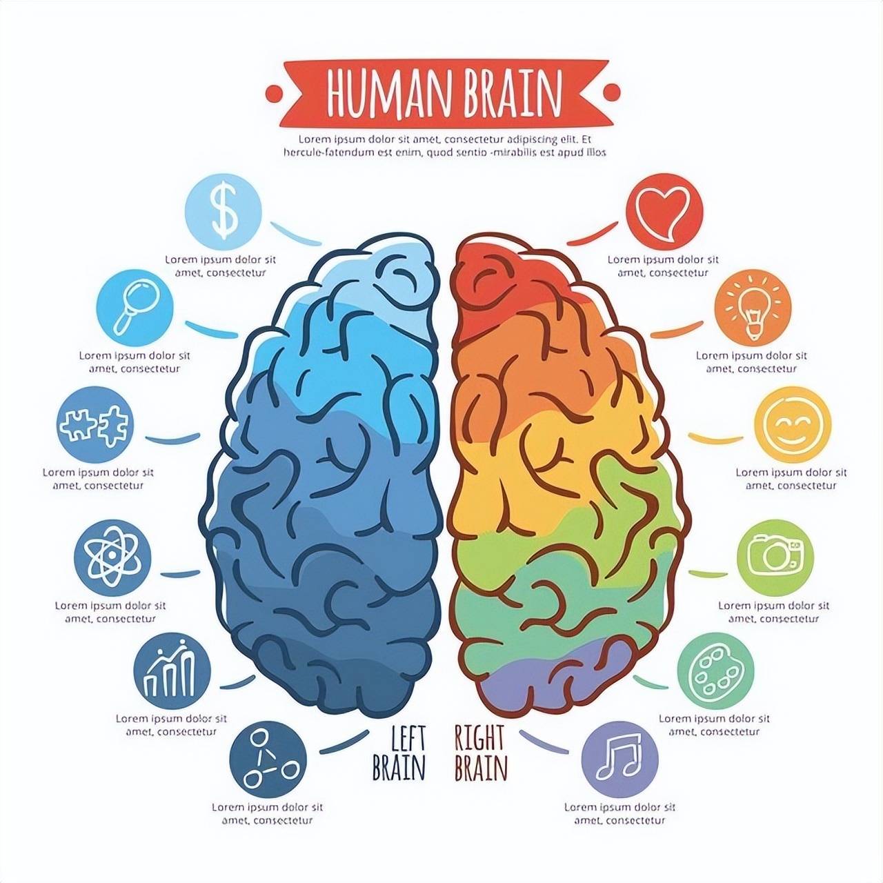 孩子总喜欢发脾气,随意扔东西?家长可以试试"左右脑调节"