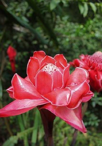 简短而深刻的情感句子，优美有内涵，每句话都描述着人生